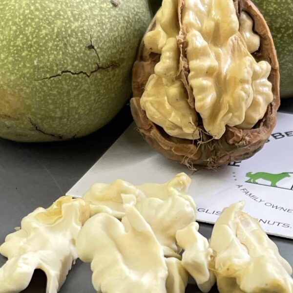 English walnut (green skin, milk) English walnut (green skin, milk) on the organic farm