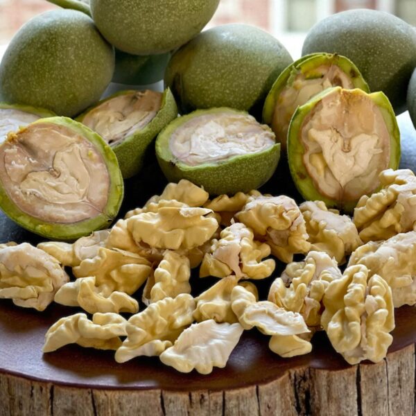 English walnut (green skin, milk) English walnut (green skin, milk) on the organic farm