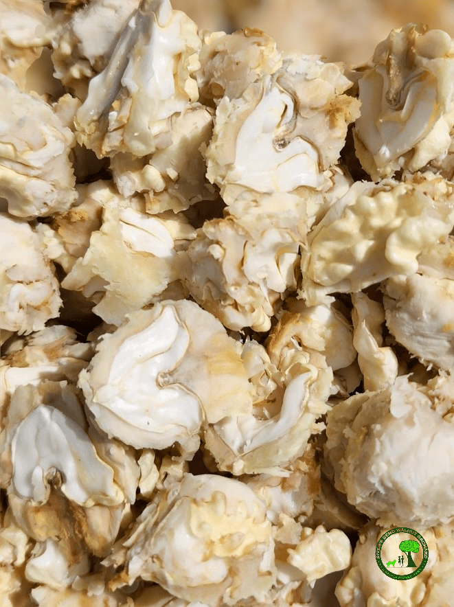 So what can surprise us with young, milky, green walnuts?