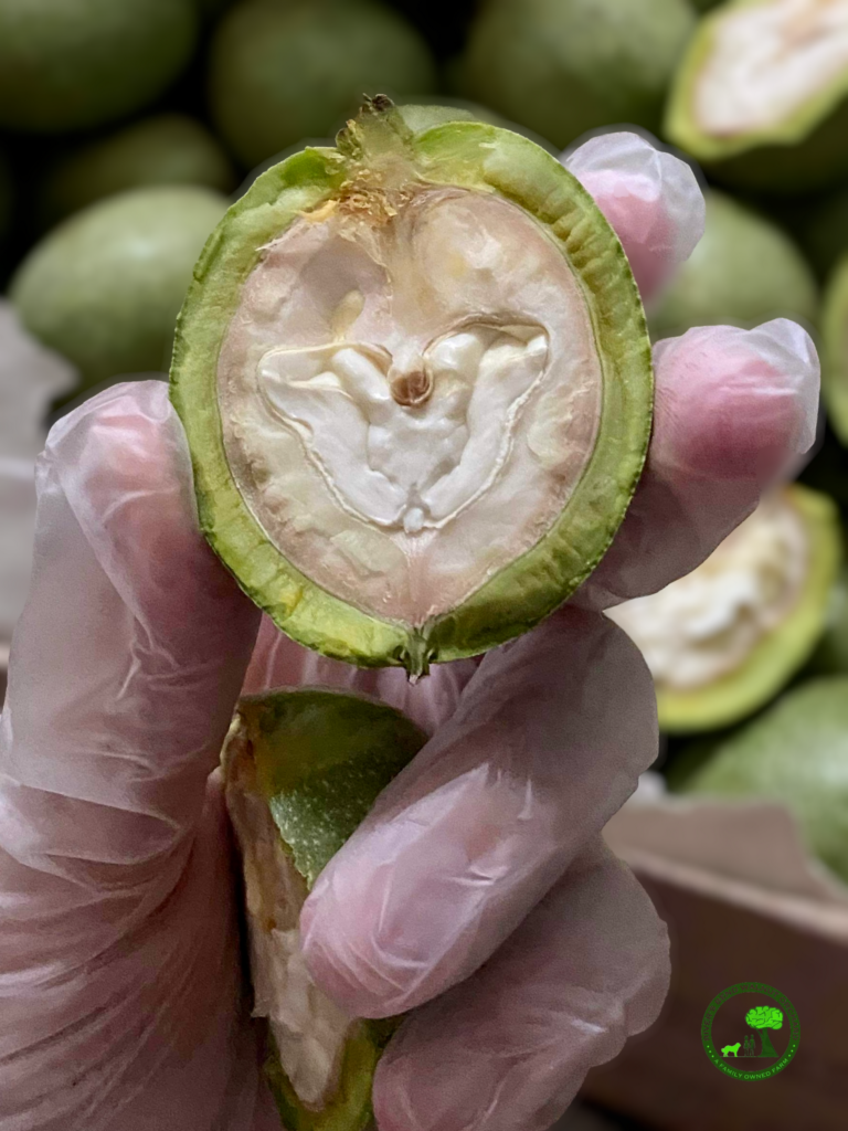 So what can surprise us with young, milky, green walnuts?